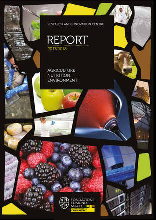 cover Report CRI 2017-2018