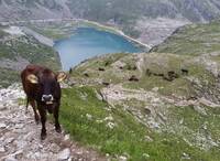 Image: 1 (9)