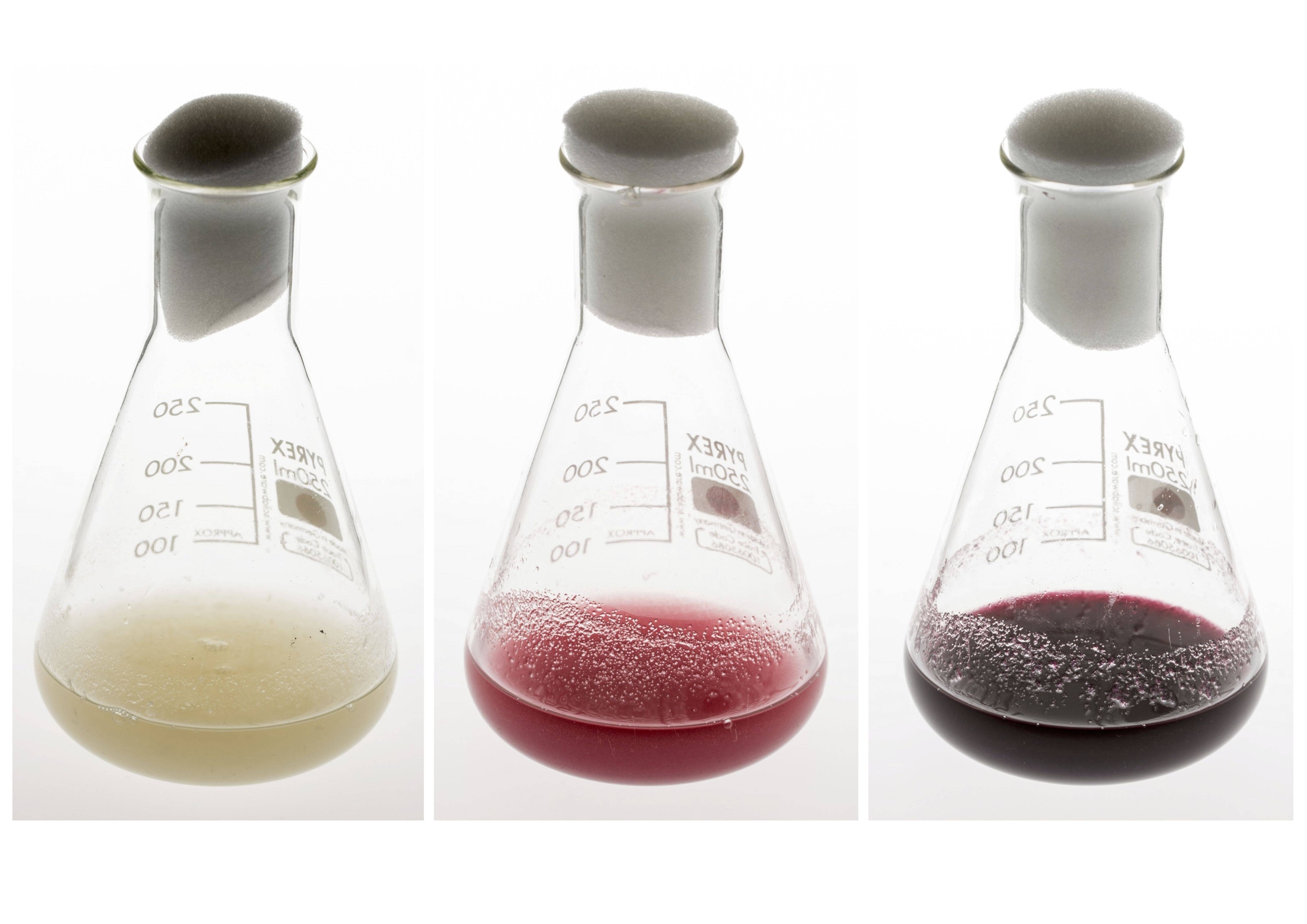 Immagine: 1_flasks