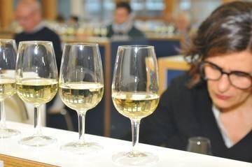 2 ^ Rassegna dei vini PIWI, iscrizioni aperte fino al 14 ottobre 2 ^ Rassegna dei vini PIWI, iscrizioni aperte fino al 14 ottobre
