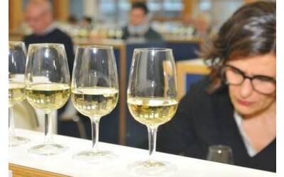 Immagine: 2-Rassegna-dei-vini-PIWI-iscrizioni-aperte-fino-al-14-ottobre_large