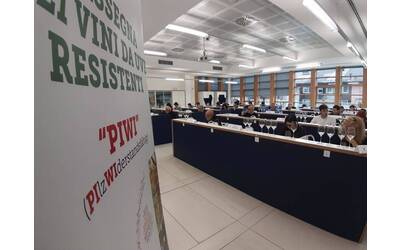 Image: 2-rassegna-dei-vini-piwi-valutazione-delle-commissione-di-30-esperti-1_reference