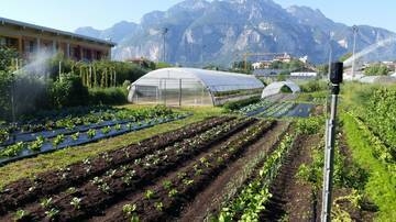 Image: 20-maggio-una-giornata-per-valorizzare-la-biodiversita-agricola-del-Trentino_large