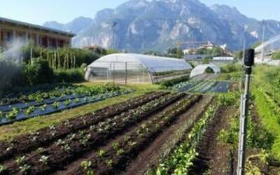 Image: 20-maggio-una-giornata-per-valorizzare-la-biodiversita-agricola-del-Trentino_large