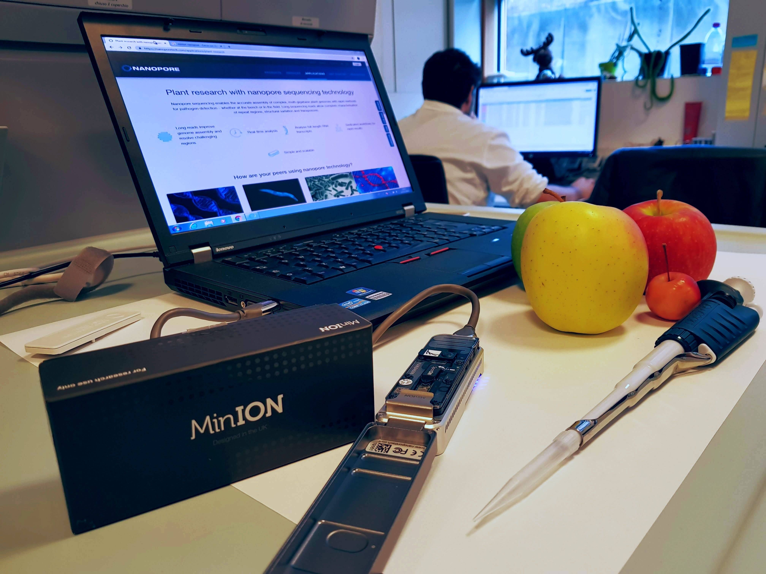 Immagine: 20181112_104255_rev