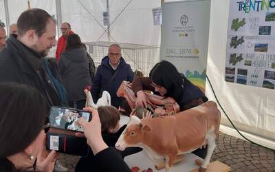 Image: 20230318_115846_reference (1)