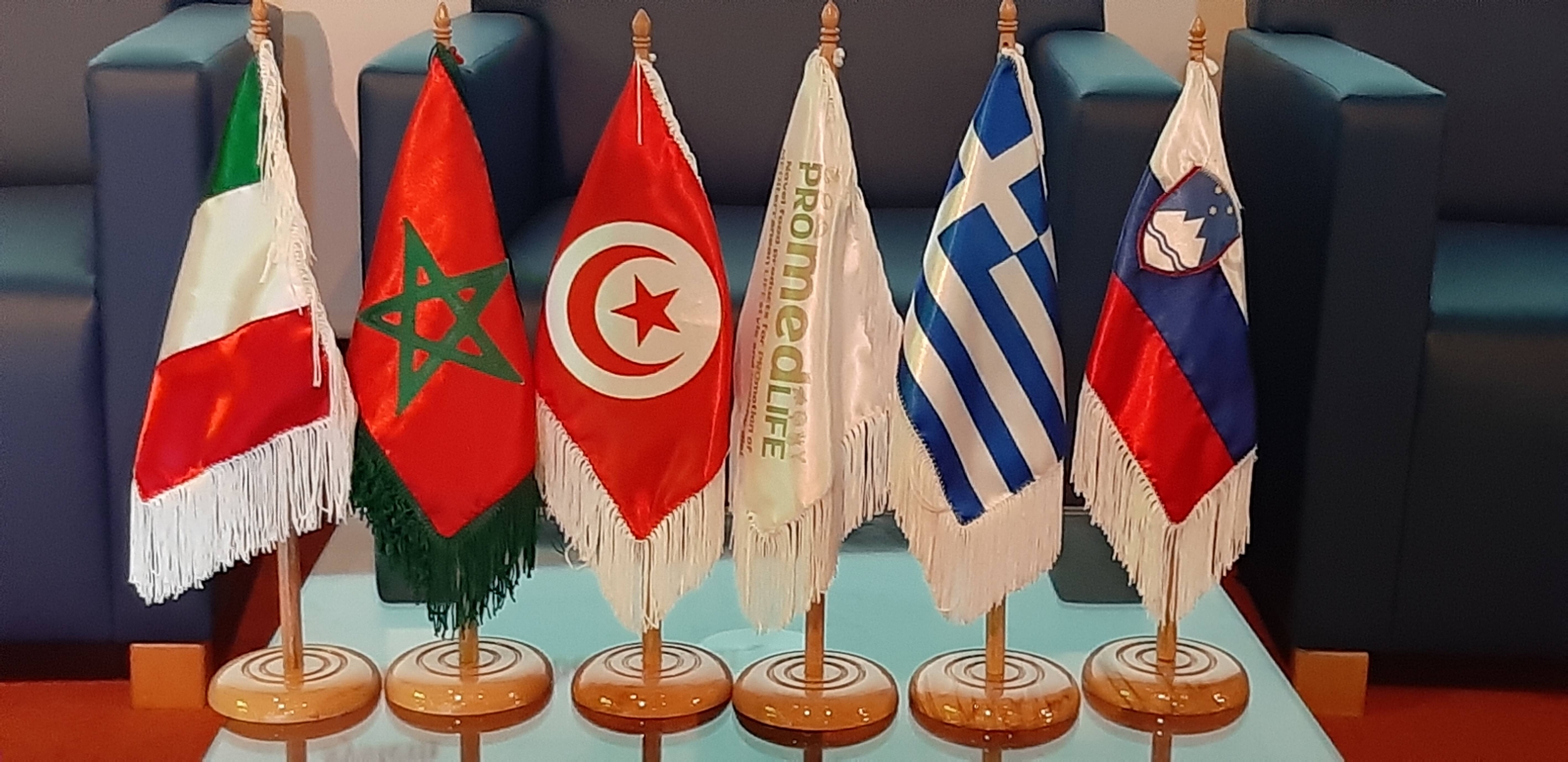 Image: 20230321_123651 (1)