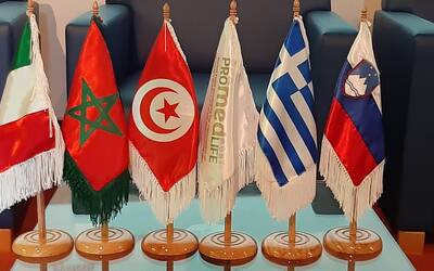 Image: 20230321_123651 (1)