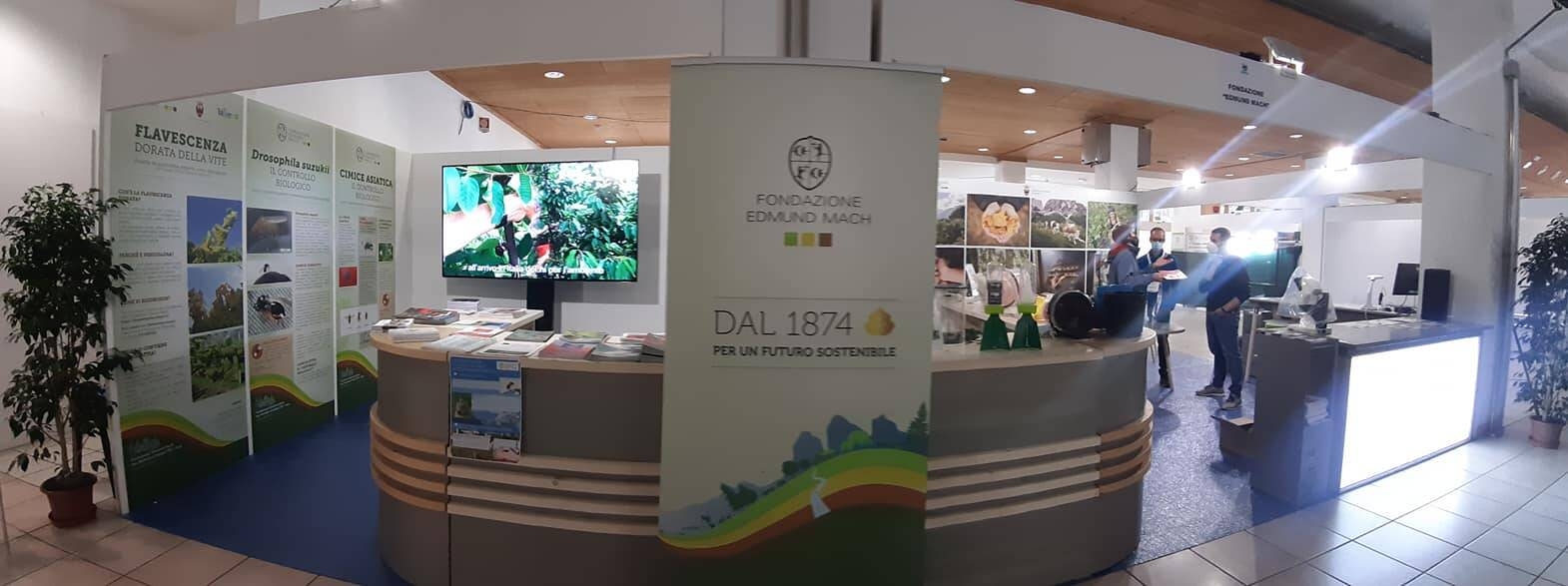 Image: 275959903_4410757469023772_7596286828720639291_n