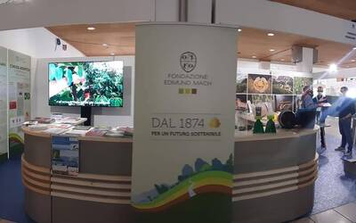 Image: 275959903_4410757469023772_7596286828720639291_n