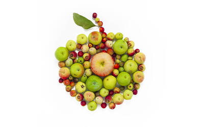 Image: _DSC7137-Edit-Edit