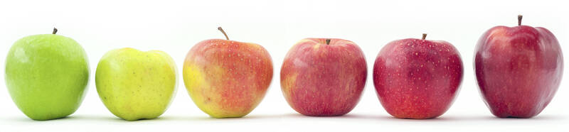 Genetica e miglioramento genetico dei fruttiferi