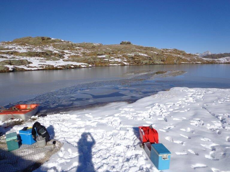 Image: Adriano_Boscaini_Grossen-Malersee1-768x576