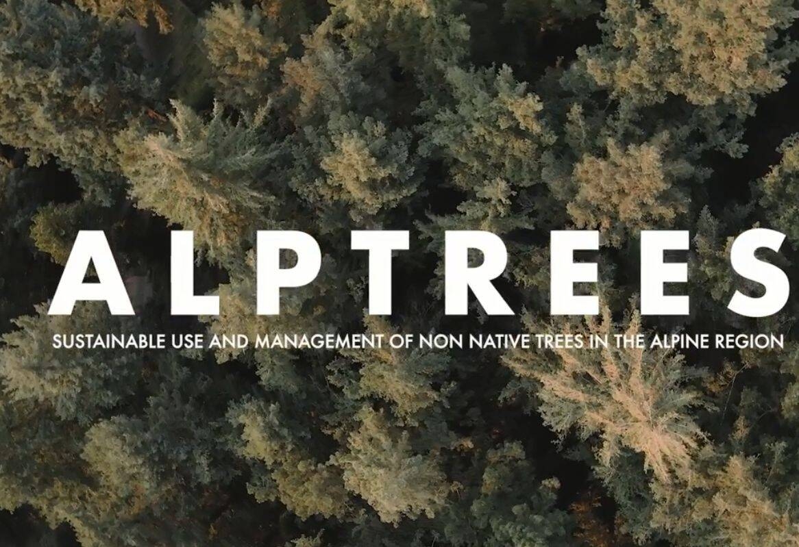Immagine: Alptrees cover
