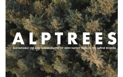 Immagine: Alptrees cover