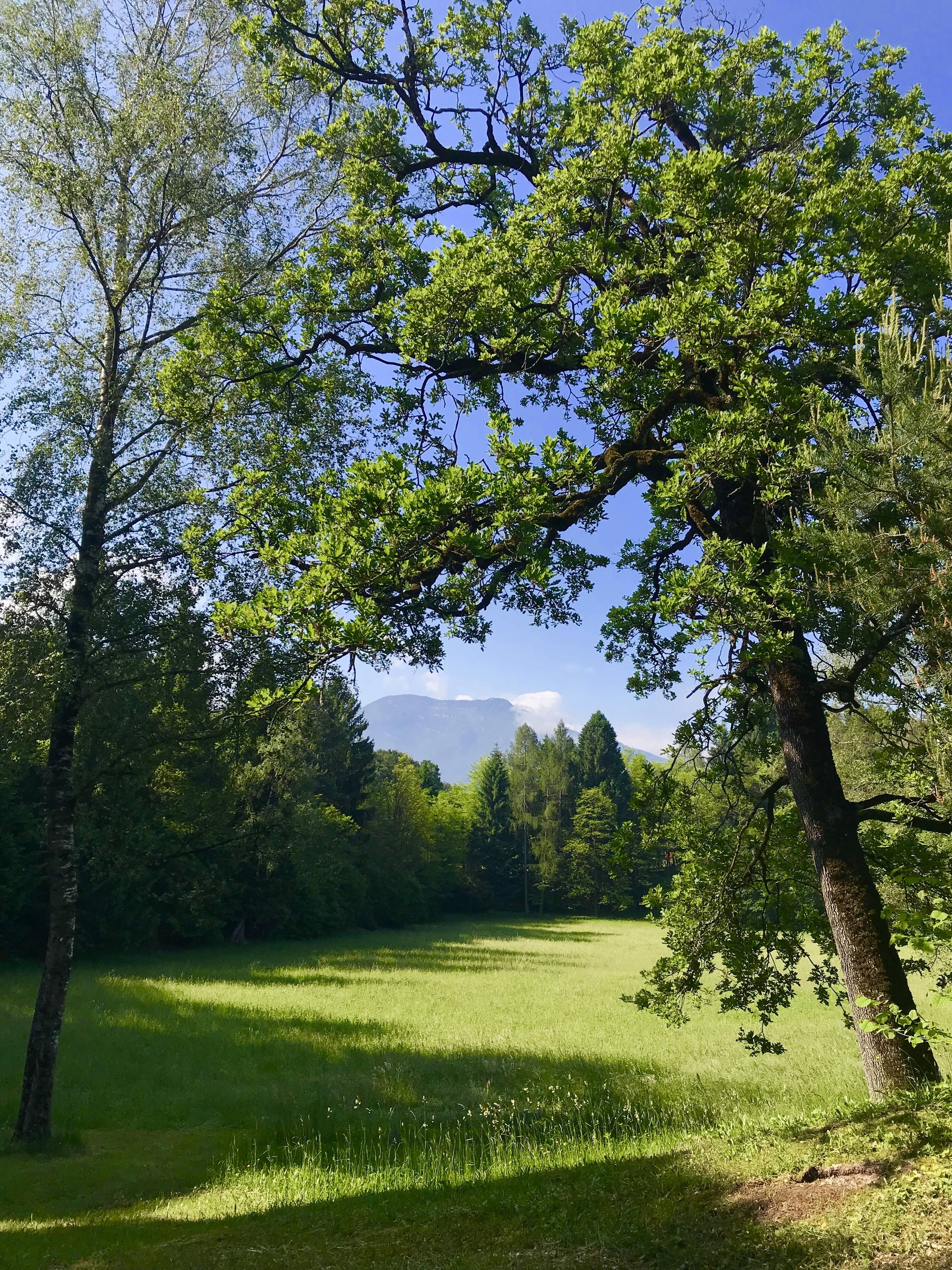 Image: Ambiente_Michele (1)