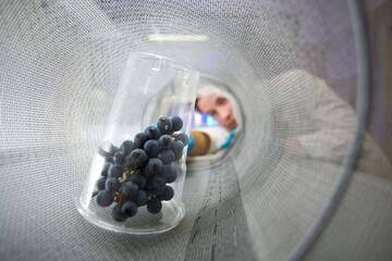 Immagine: ARCHIVIO FEM- M_Brega _laboratorio (2)
