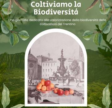 Immagine: banner biodiv