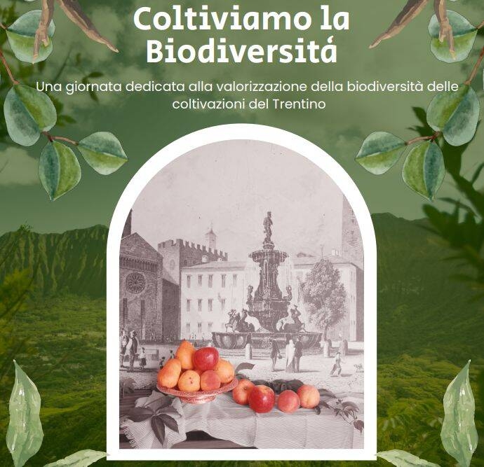 Image: banner biodiv