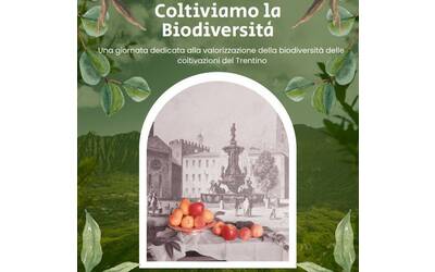 Image: banner biodiv