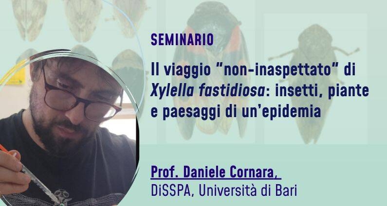 Immagine: banner seminario