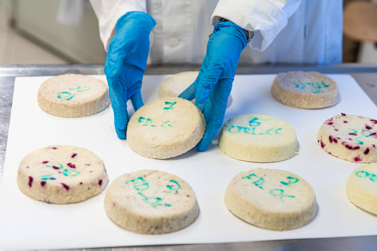 Immagine: Biotecnologie della fementazione