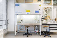 Immagine: cappa microbiologica