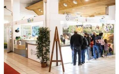 Image: Clima-acqua-e-suolo-alla-Mostra-dell-agricoltura-di-Trento-e-studenti-al-Polo-zootecnico_large