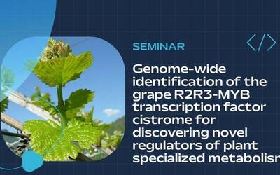 Image: Clipboard01 (1)