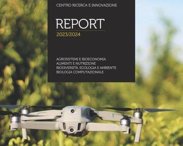 FEM Research: new activity report published