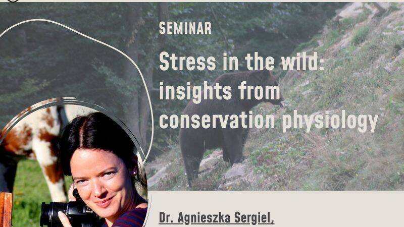 Prof. Agnieszka Sergiel's seminar