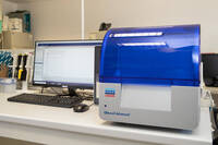 Immagine: Copy of Qiagen QIAxcel_1