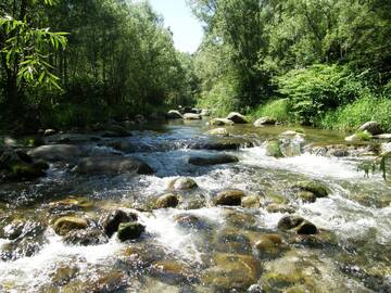 Immagine: corsi d'acqua