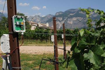 From the United States to Trentino: a talk on digital agriculture with Prof. Bruno Basso