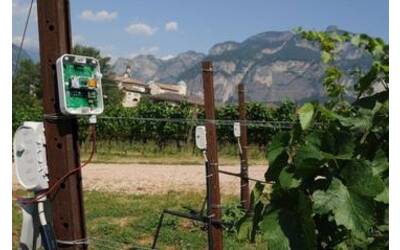 Immagine: Dagli-Stati-Uniti-al-Trentino-il-prof-Basso-e-la-lezione-sull-agricoltura-digitale_large