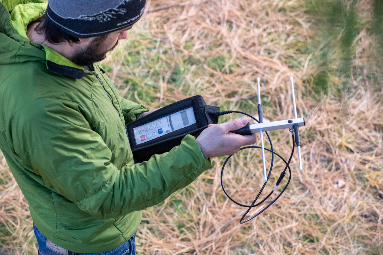 Image: Ecologia-animale-2022-Foto-Marco-Parisi-9