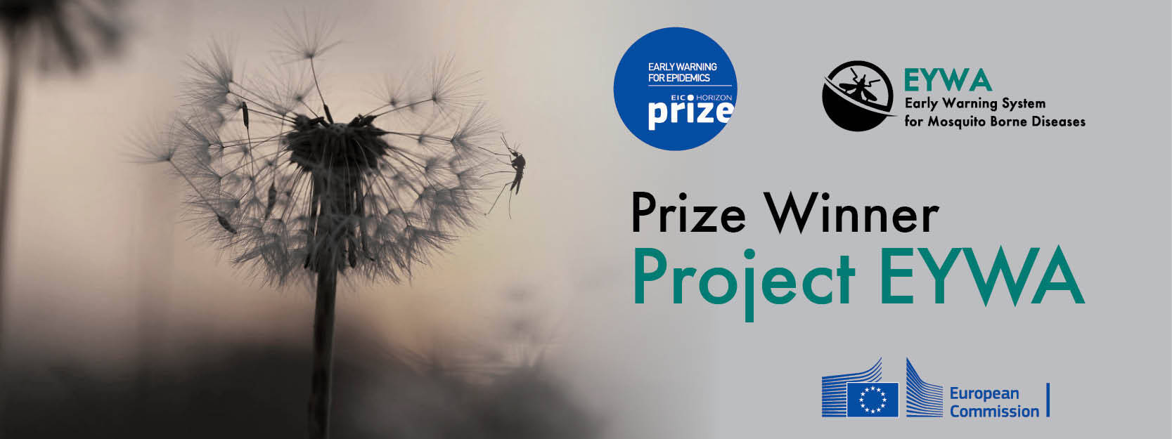 Immagine: EYWA_banner_winner_long