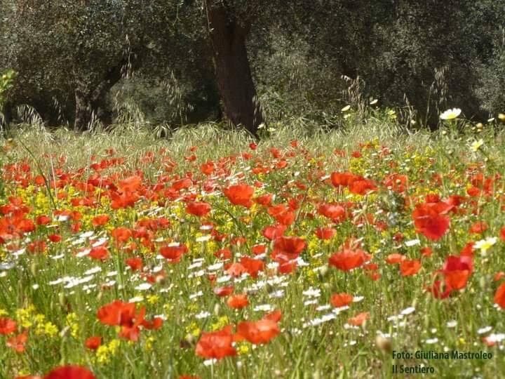 Image: FB_IMG_1539497920990