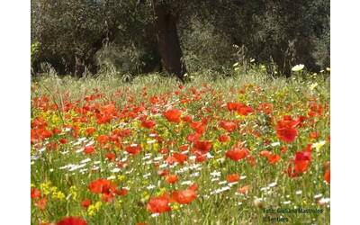 Image: FB_IMG_1539497920990