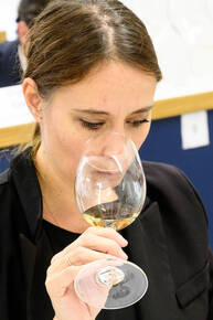 Immagine: FEM PIWI 5 RASSEGNA