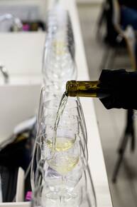 Immagine: FEM PIWI 5 RASSEGNA