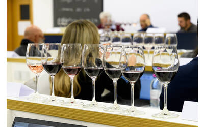 Image: FEM PIWI 7008 LR