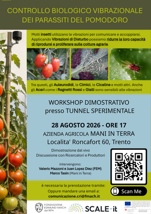 Immagine: flyer (3)