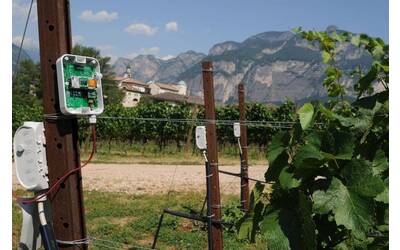 Image: I-crediti-di-carbonio-e-il-futuro-dell-agricoltura-al-Festival-dell-Economia_popup