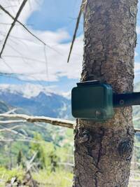 Immagine: I dati saranno raccolti su vasta scala in Val di Non, Val di Peio, Valle del Tonale e Valfurva, con il supporto del Parco Nazionale dello Stelvio (settore trentino e lombardo)