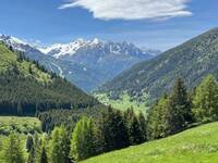 Immagine: Il progetto Wildsound punta a studiare l’impatto del rumore antropico sulla fauna selvatica alpina, in particolare su cervi, caprioli e camosci.