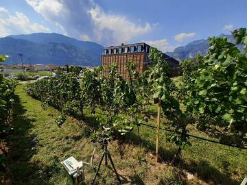 Dottorato di ricerca in scienze agroalimentari e ambientali