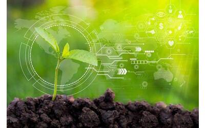 Image: img-Yanewn0ORWCx4Jlm-w800