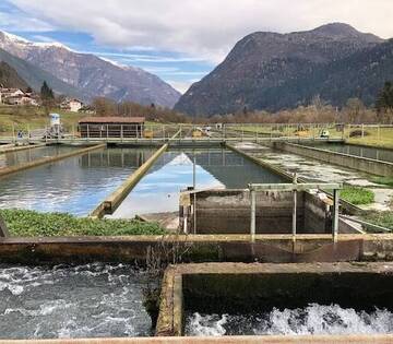 Immagine: impianto acquacoltura