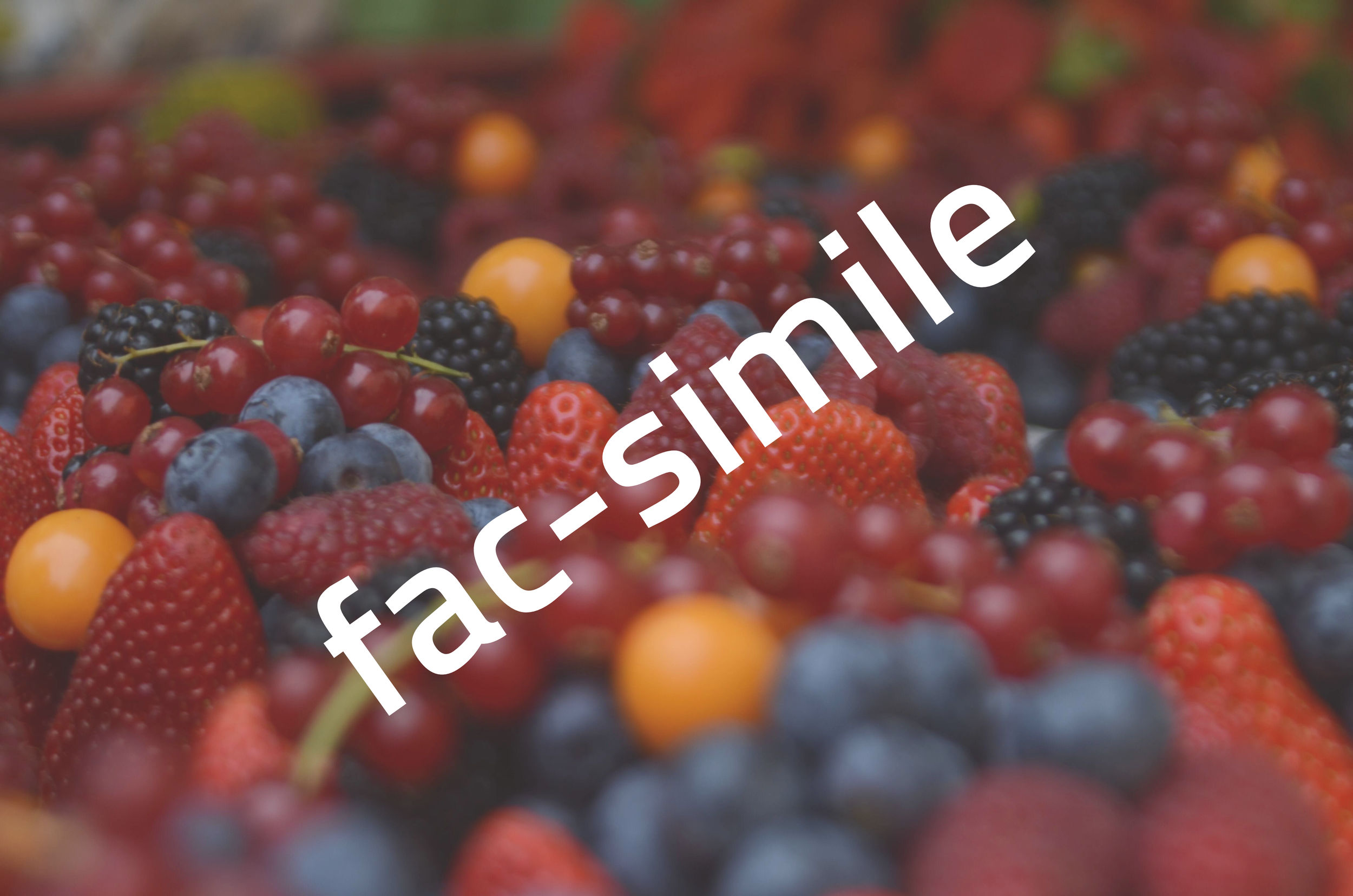 Image: karoline-stk-GqMvN4gDPes-unsplash